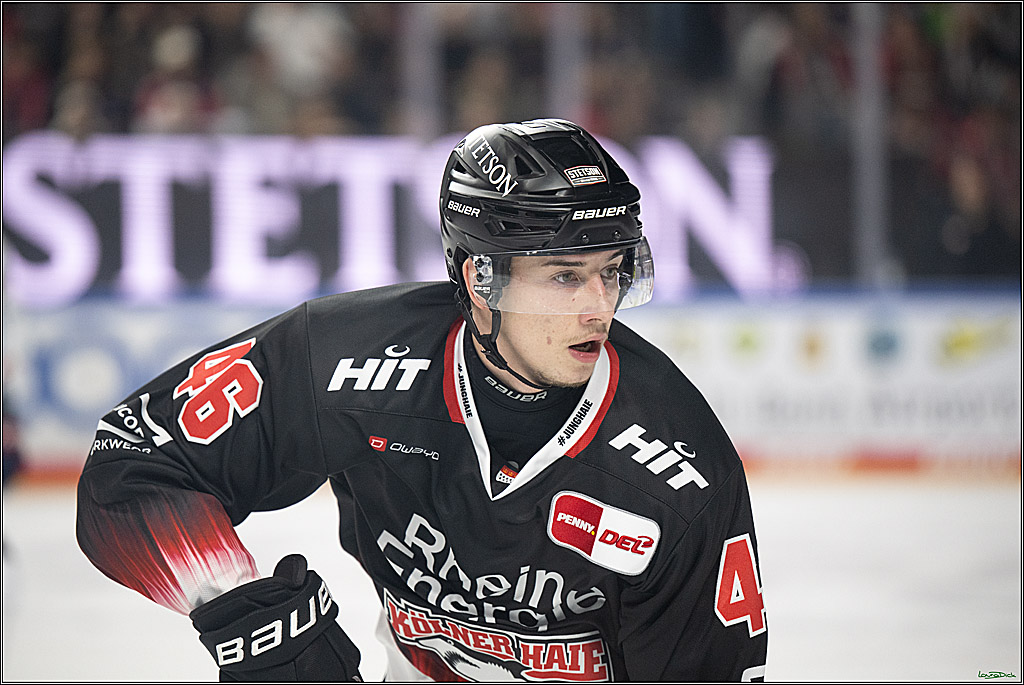 PENNY DEL 1; Kölner Haie - Adler Mannheim; Köln, 25.11.2025