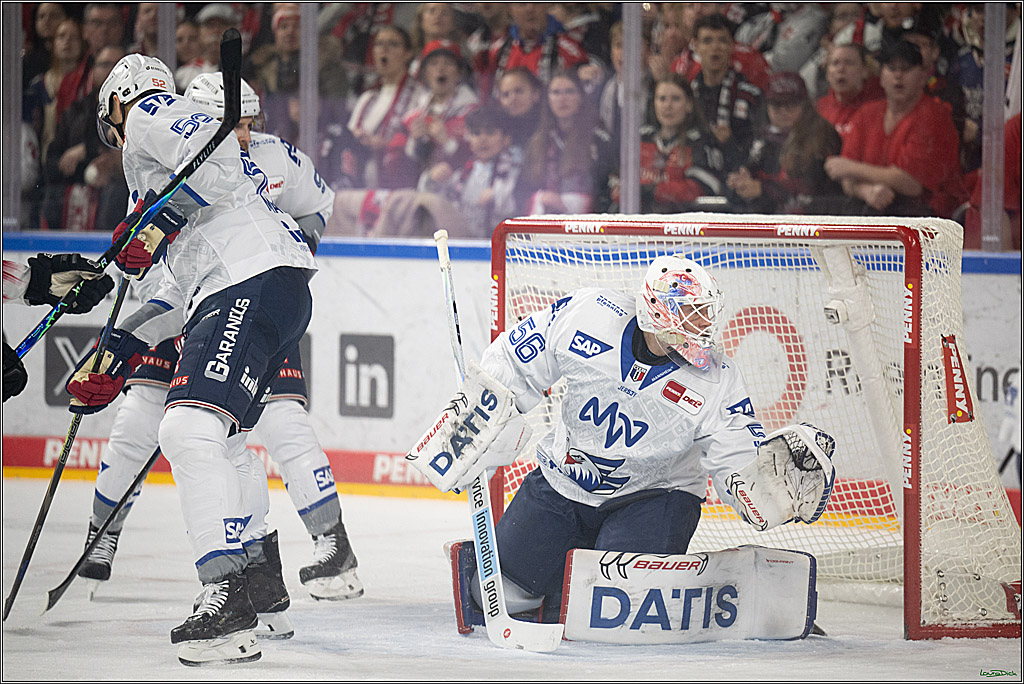 PENNY DEL 1; Kölner Haie - Adler Mannheim; Köln, 25.11.2025