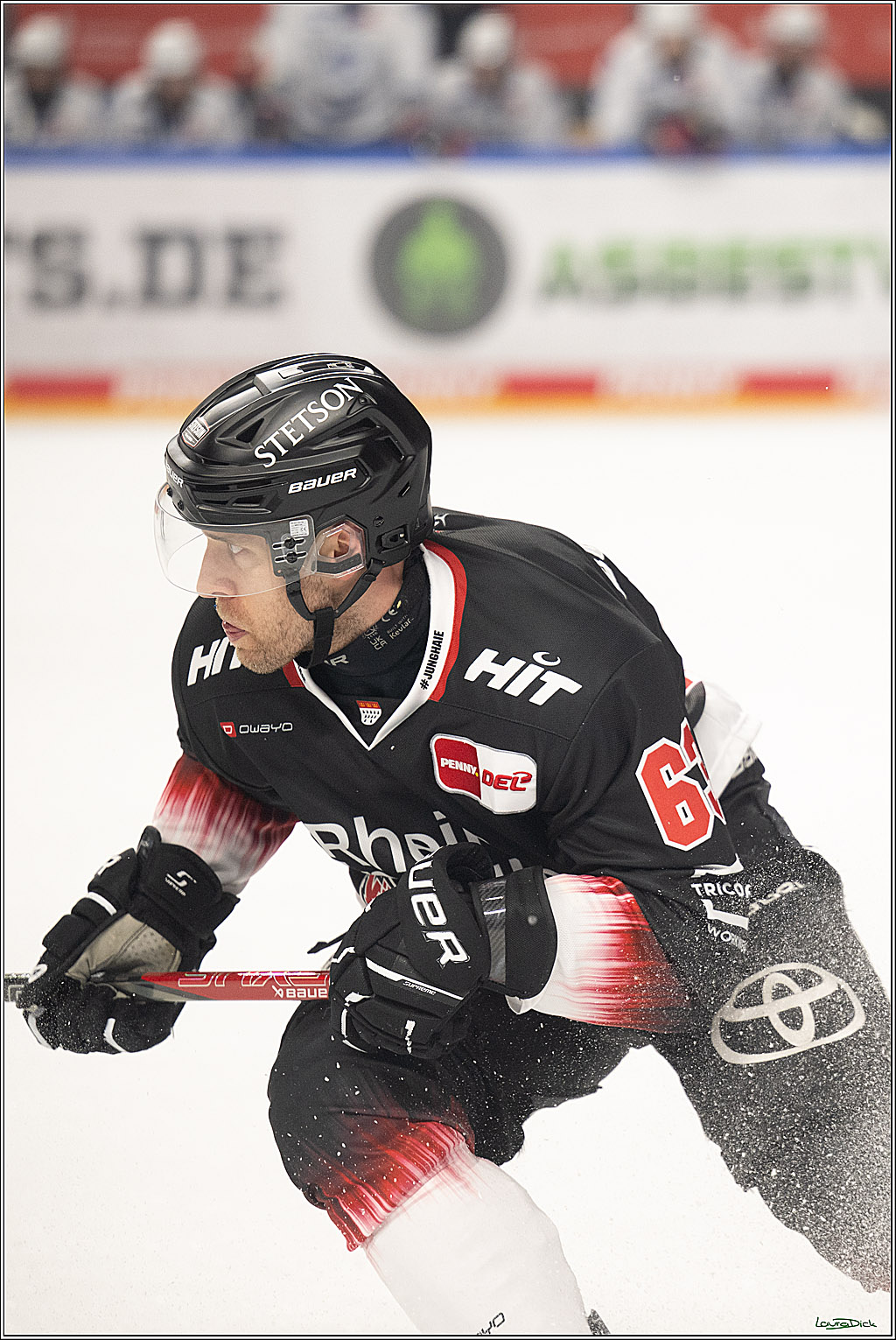 PENNY DEL 1; Kölner Haie - Adler Mannheim; Köln, 25.11.2025