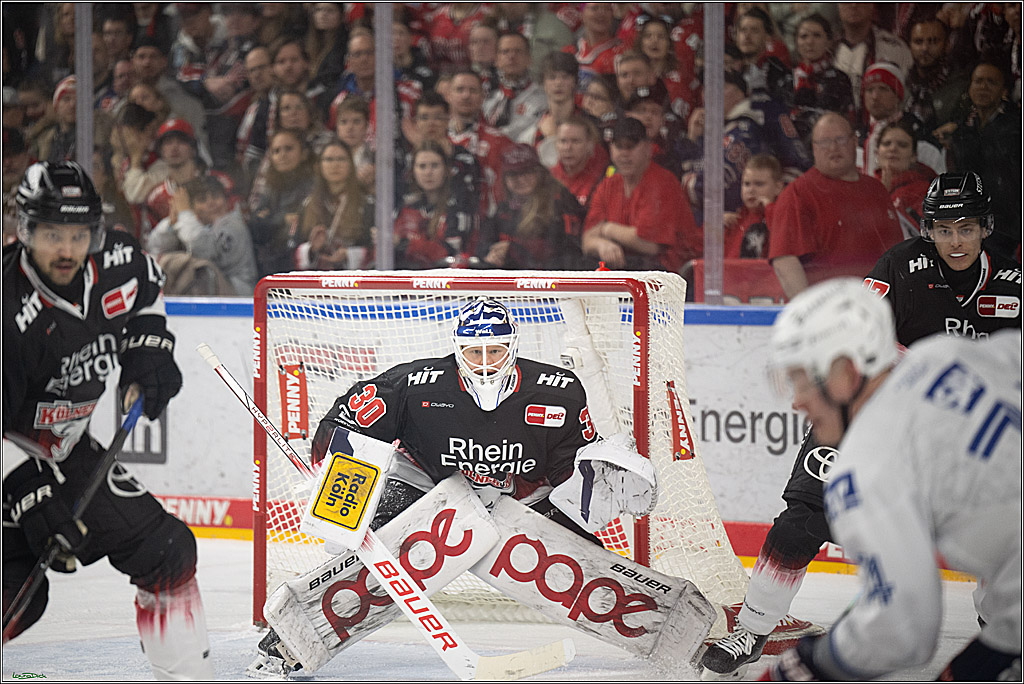 PENNY DEL 1; Kölner Haie - Adler Mannheim; Köln, 25.11.2025