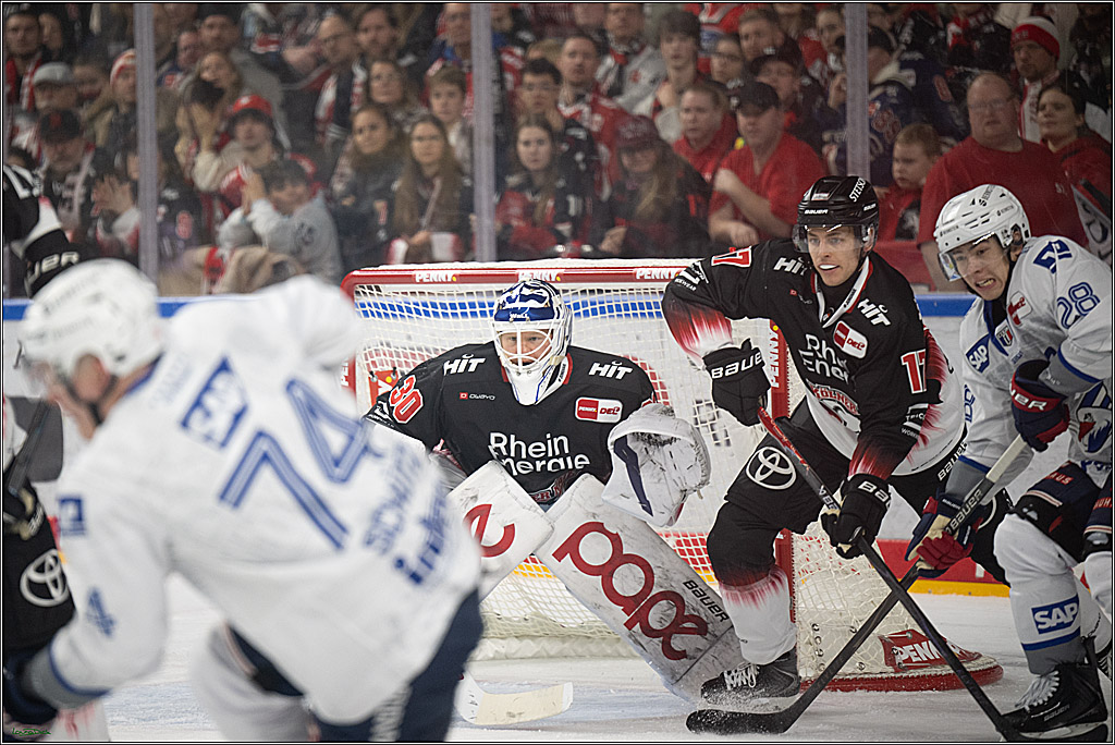 PENNY DEL 1; Kölner Haie - Adler Mannheim; Köln, 25.11.2025