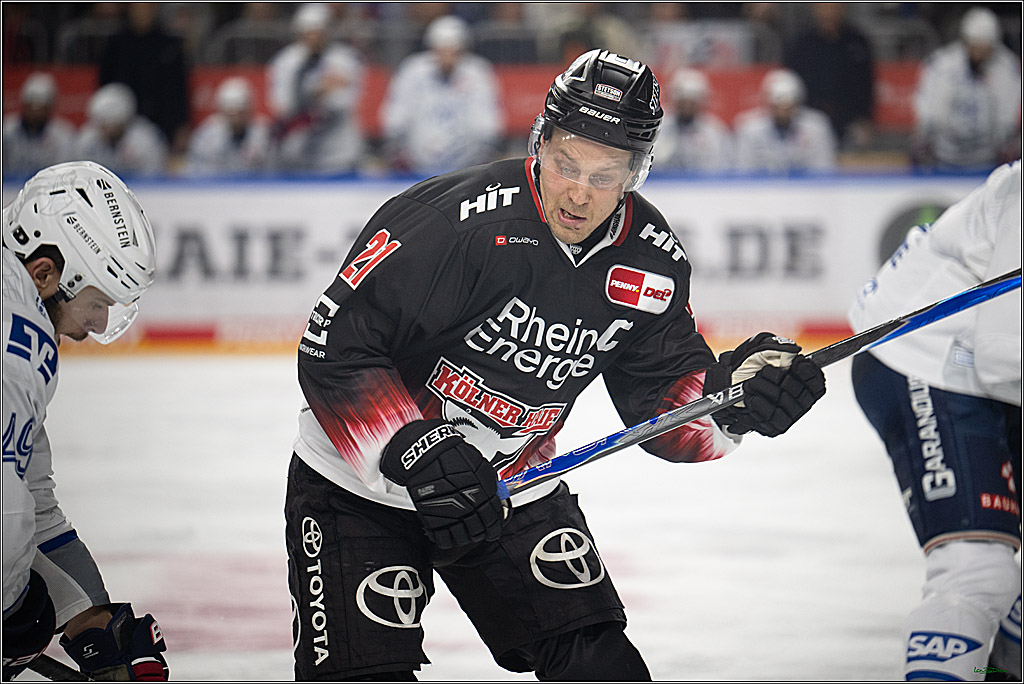 PENNY DEL 1; Kölner Haie - Adler Mannheim; Köln, 25.11.2025