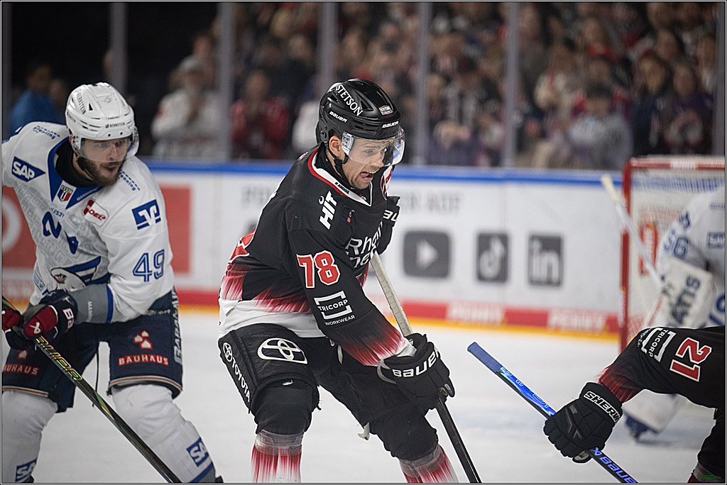 PENNY DEL 1; Kölner Haie - Adler Mannheim; Köln, 25.11.2025