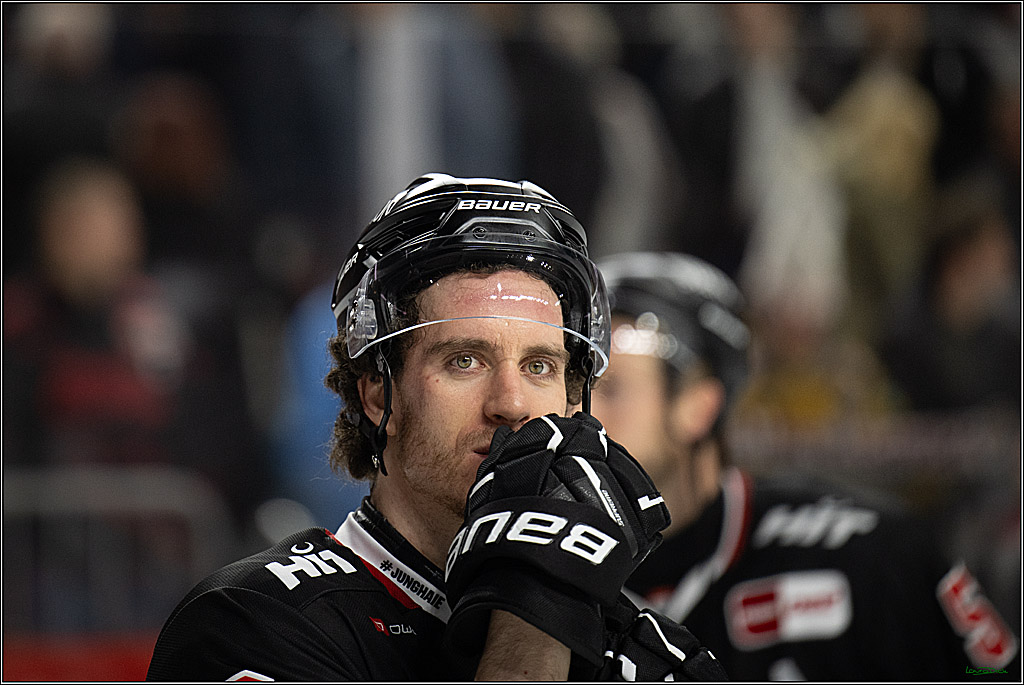 PENNY DEL 1; Kölner Haie - Adler Mannheim; Köln, 25.11.2025
