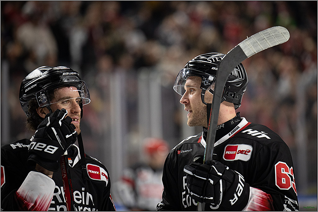 PENNY DEL 1; Kölner Haie - Adler Mannheim; Köln, 25.11.2025