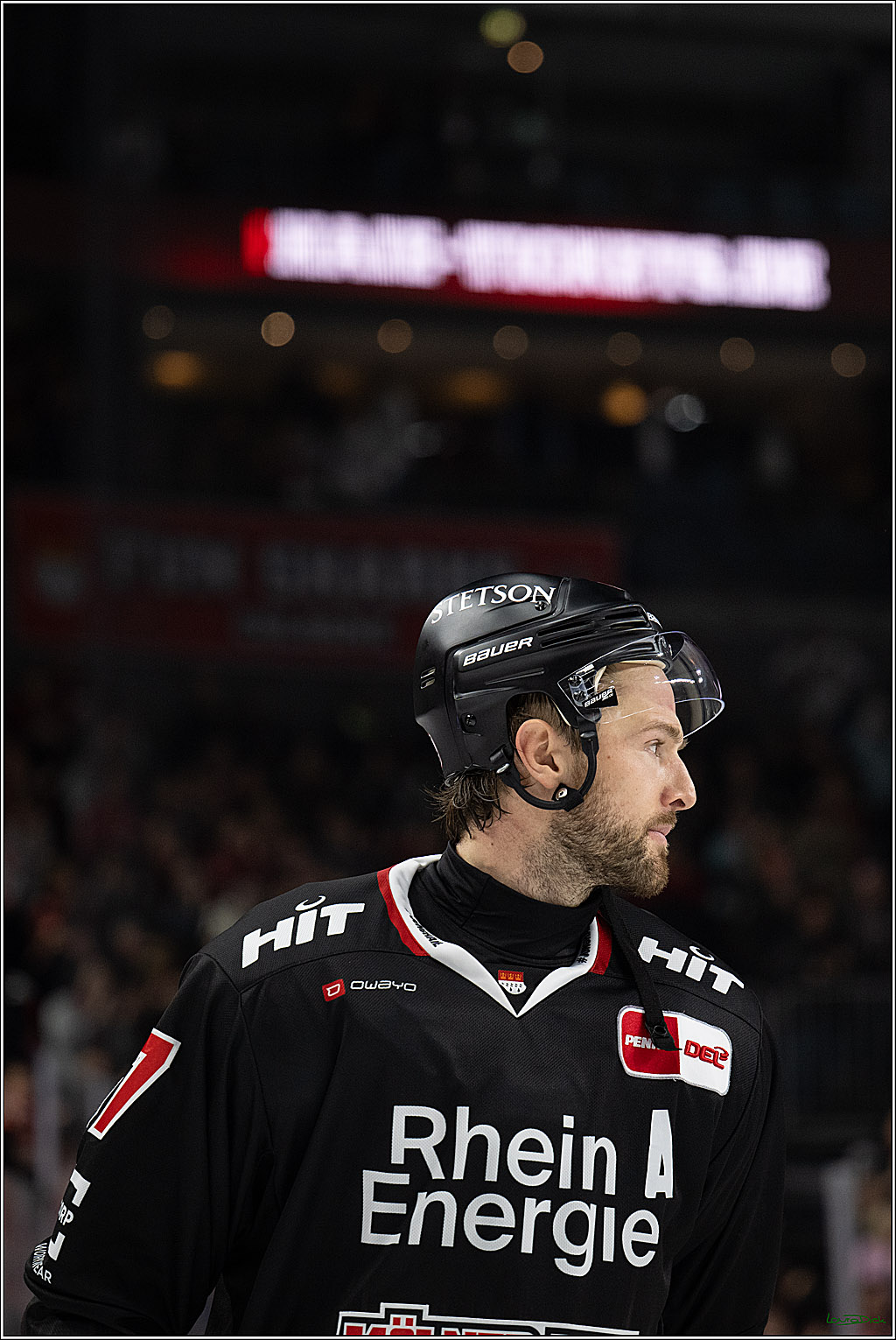 PENNY DEL 1; Kölner Haie - Adler Mannheim; Köln, 25.11.2025