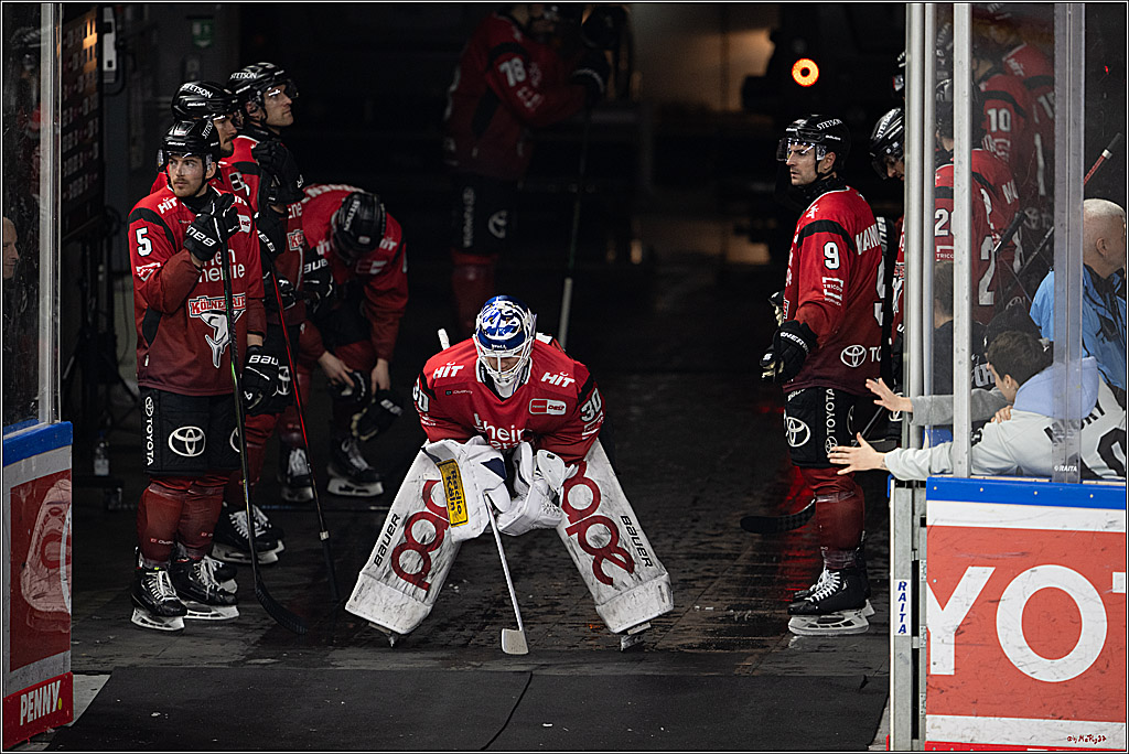 PENNY DEL 1; Kölner Haie - Nürnberg Ice Tigers; Köln, 05.12.2025