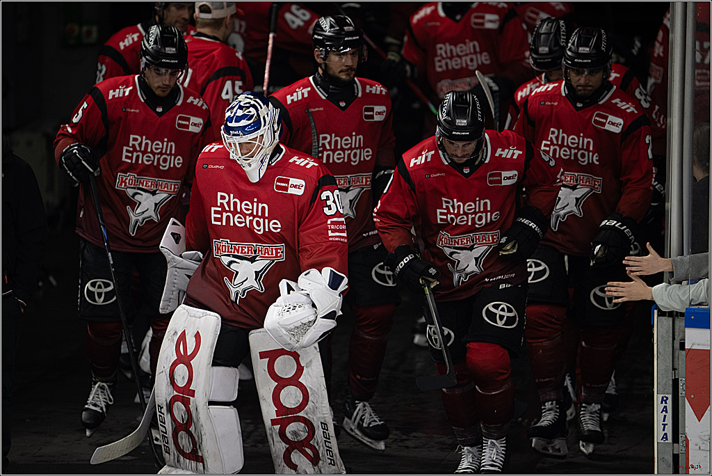 PENNY DEL 1; Kölner Haie - Nürnberg Ice Tigers; Köln, 05.12.2025