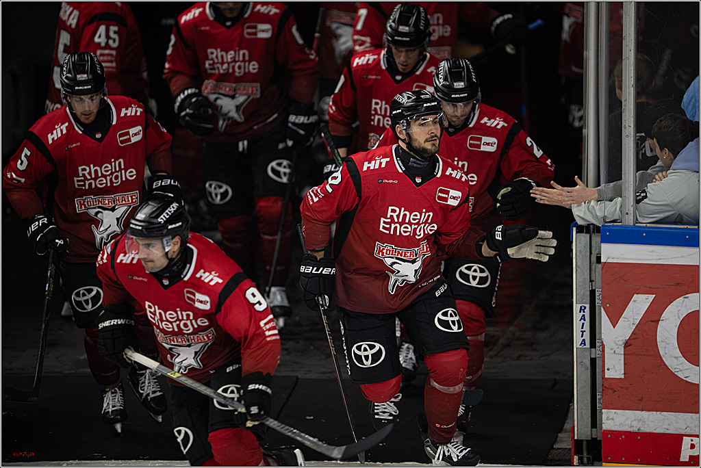 PENNY DEL 1; Kölner Haie - Nürnberg Ice Tigers; Köln, 05.12.2025