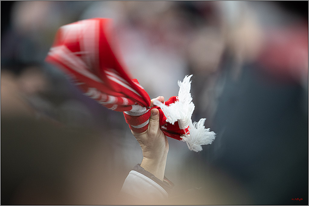 PENNY DEL 1; Kölner Haie - Nürnberg Ice Tigers; Köln, 05.12.2025