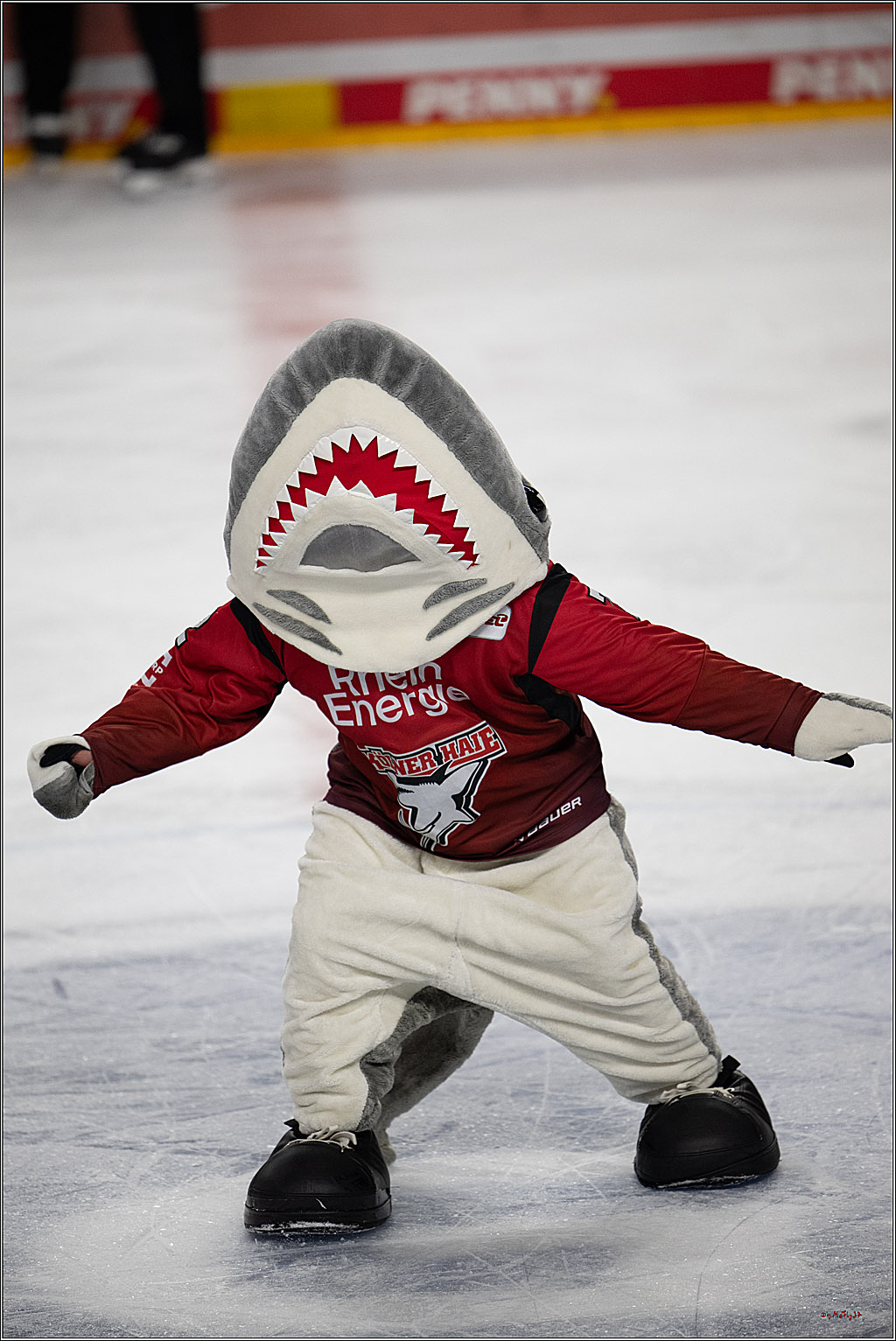 PENNY DEL 1; Kölner Haie - Nürnberg Ice Tigers; Köln, 05.12.2025