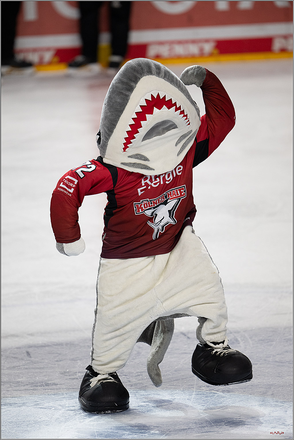 PENNY DEL 1; Kölner Haie - Nürnberg Ice Tigers; Köln, 05.12.2025