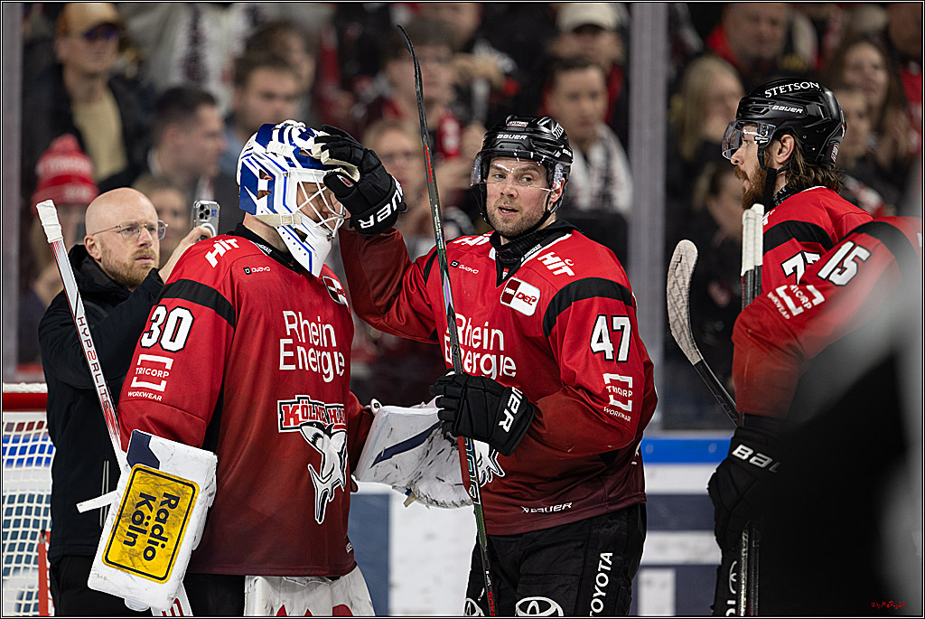 PENNY DEL 1; Kölner Haie - Nürnberg Ice Tigers; Köln, 05.12.2025