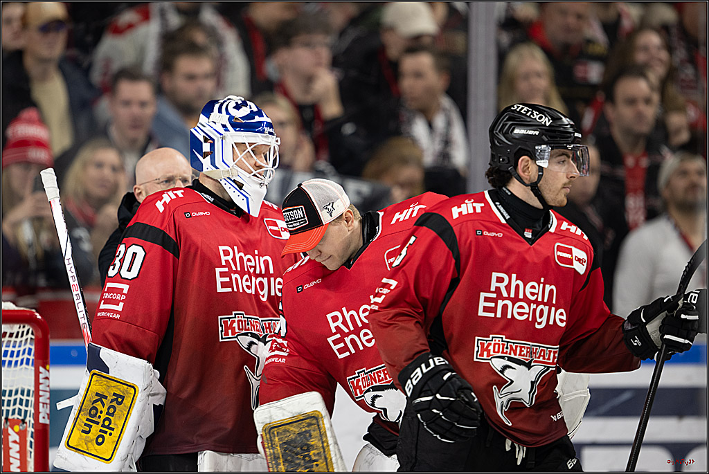 PENNY DEL 1; Kölner Haie - Nürnberg Ice Tigers; Köln, 05.12.2025
