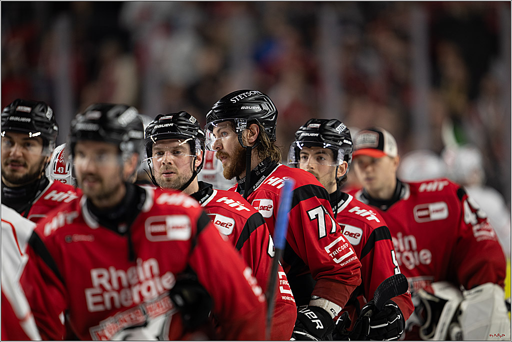 PENNY DEL 1; Kölner Haie - Nürnberg Ice Tigers; Köln, 05.12.2025