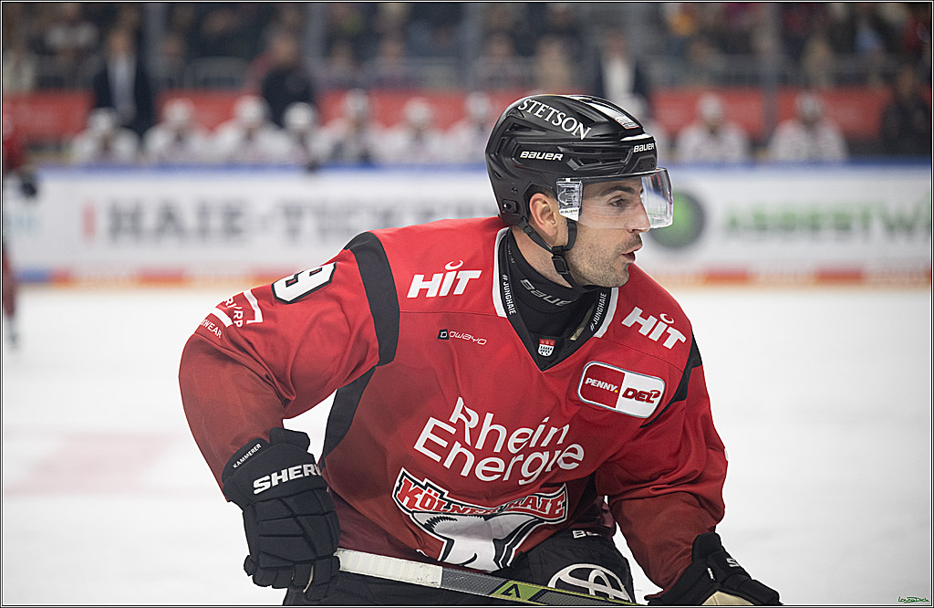 PENNY DEL; Kölner Haie-Nürnberg Ice Tigers; Köln, 05.12.2025