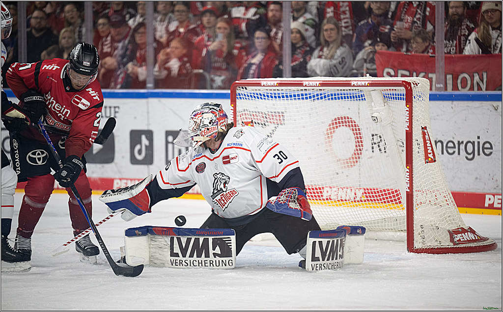 PENNY DEL; Kölner Haie-Nürnberg Ice Tigers; Köln, 05.12.2025