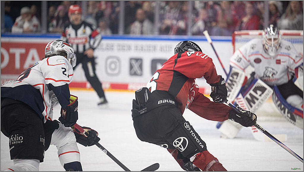 PENNY DEL; Kölner Haie-Nürnberg Ice Tigers; Köln, 05.12.2025