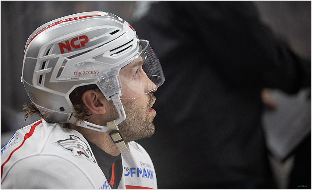 PENNY DEL; Kölner Haie-Nürnberg Ice Tigers; Köln, 05.12.2025