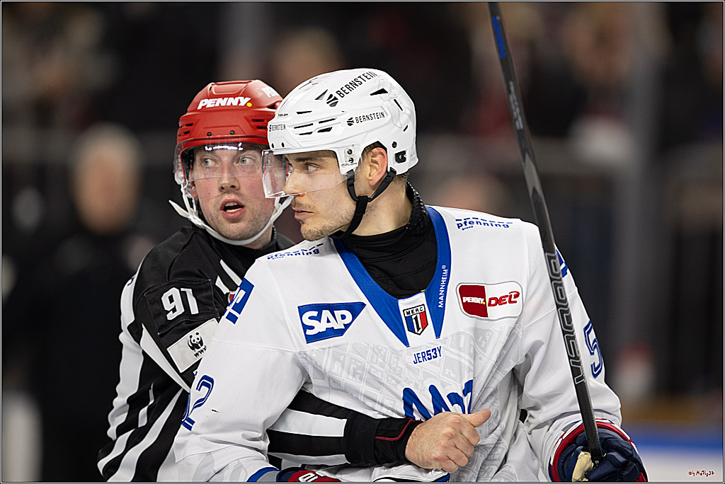 PENNY DEL 1; Kölner Haie - Adler Mannheim; Köln, 14.12.2025