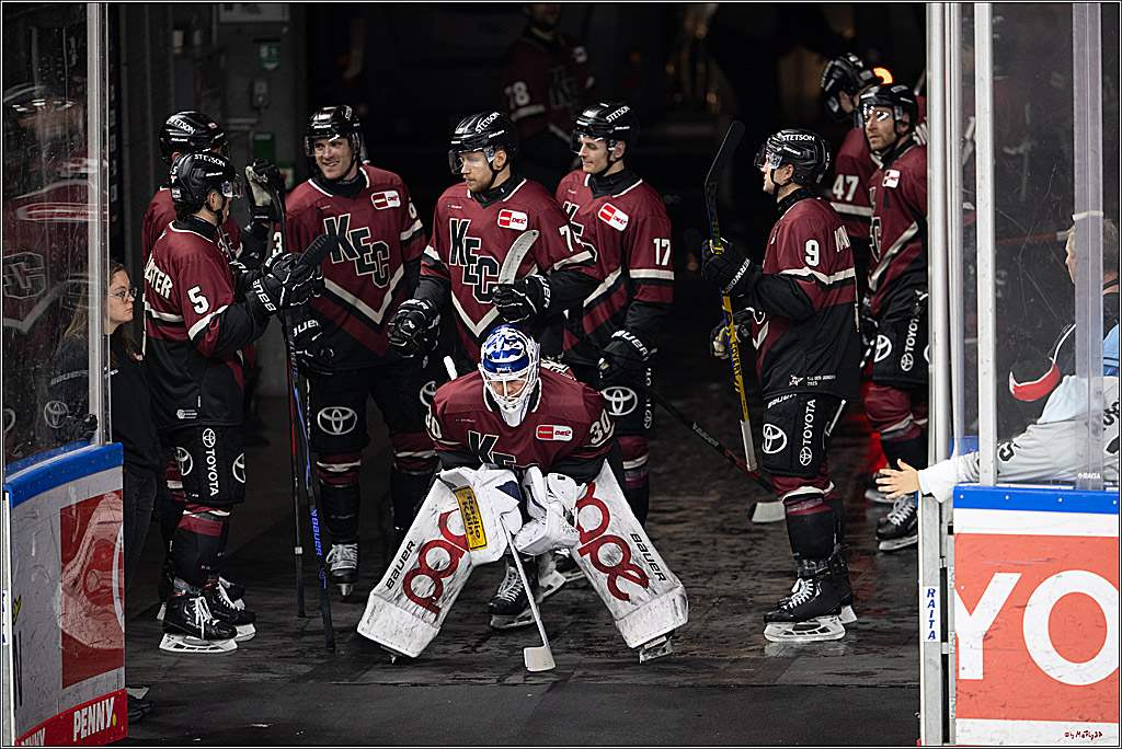 PENNY DEL 1; Kölner Haie - Adler Mannheim; Köln, 14.12.2025