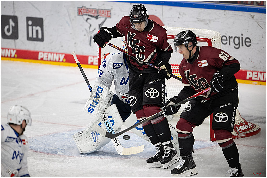 PENNY DEL 1; Kölner Haie - Adler Mannheim; Köln, 14.12.2025