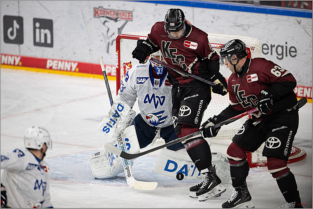 PENNY DEL 1; Kölner Haie - Adler Mannheim; Köln, 14.12.2025