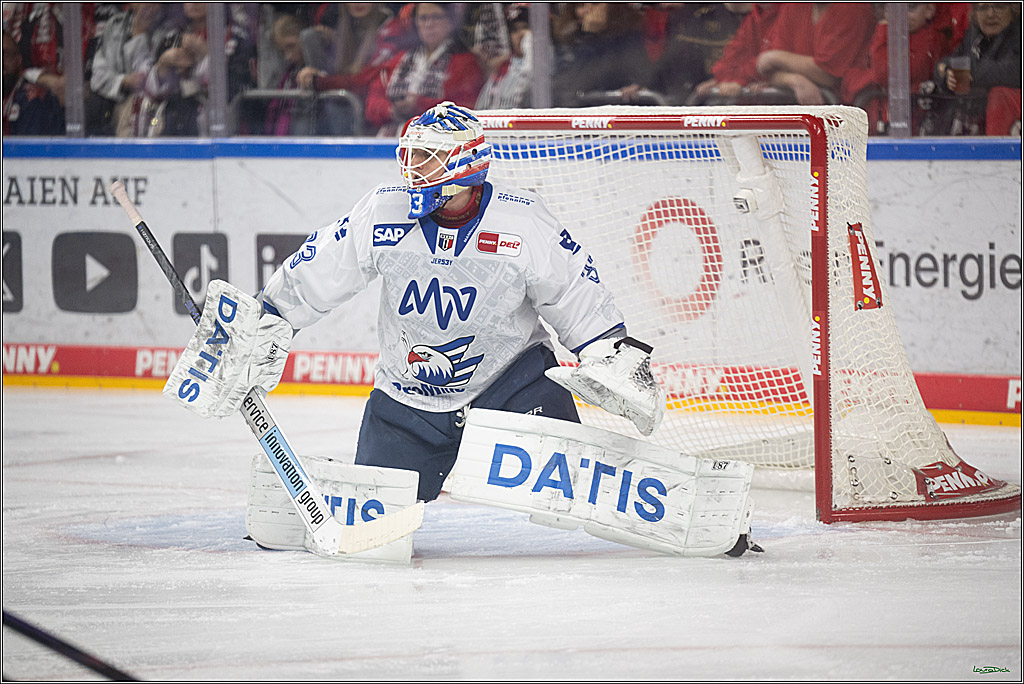PENNY DEL; Kölner Haie-Adler Mannheim; Köln, 14.12.2025