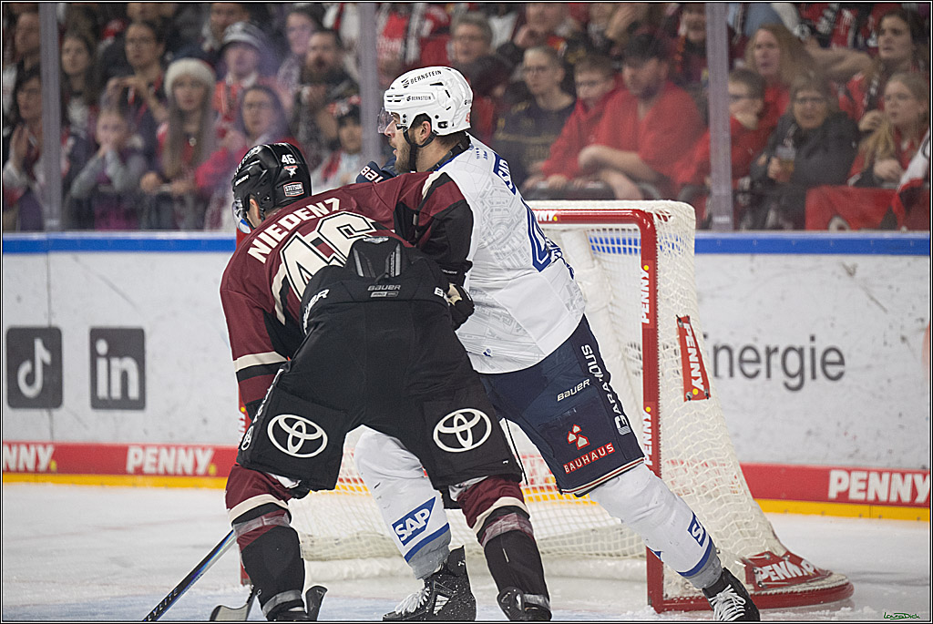 PENNY DEL; Kölner Haie-Adler Mannheim; Köln, 14.12.2025