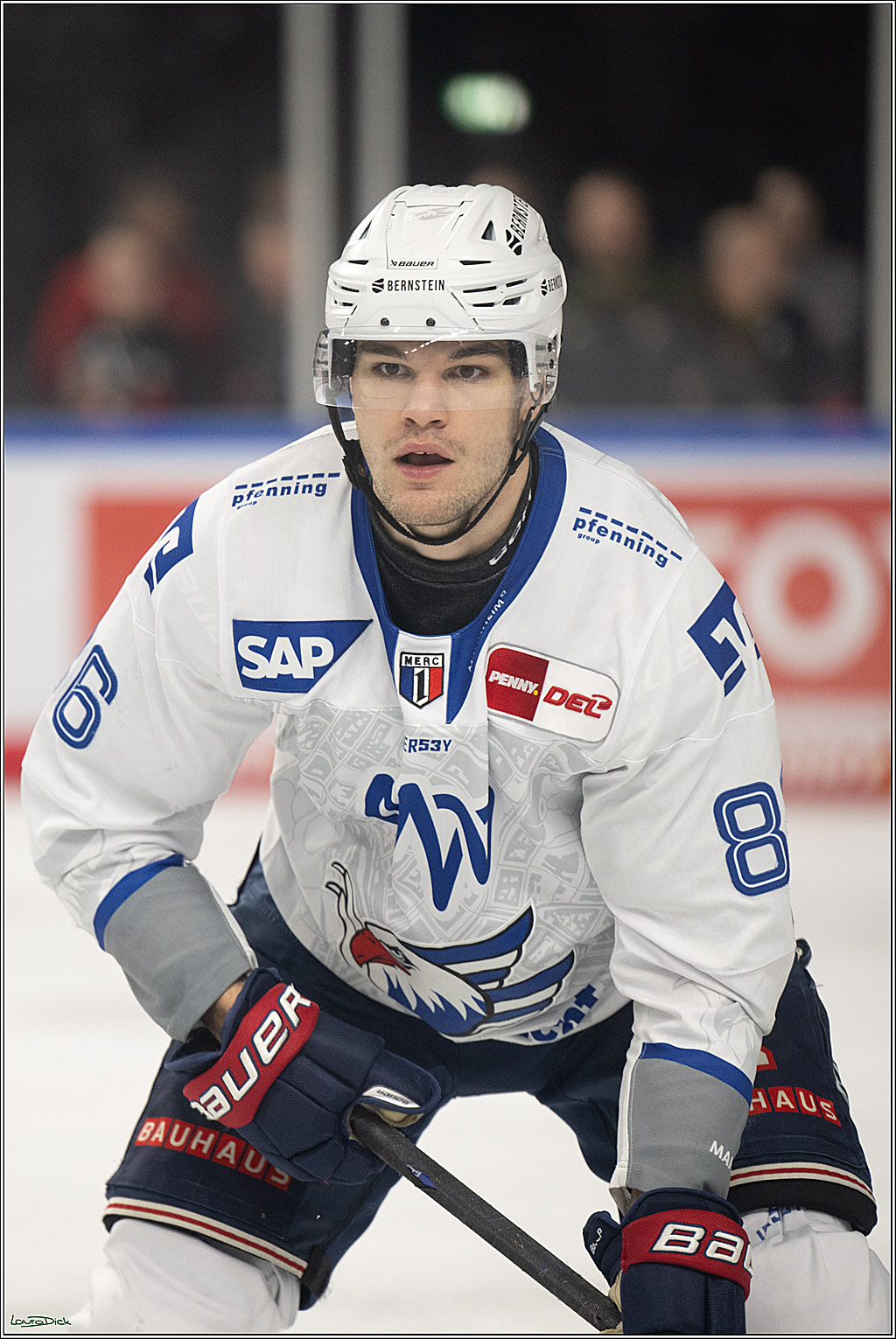 PENNY DEL; Kölner Haie-Adler Mannheim; Köln, 14.12.2025