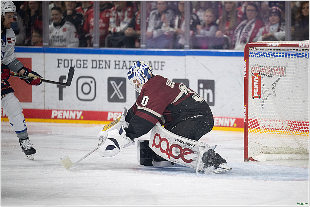 PENNY DEL; Kölner Haie-Adler Mannheim; Köln, 14.12.2025