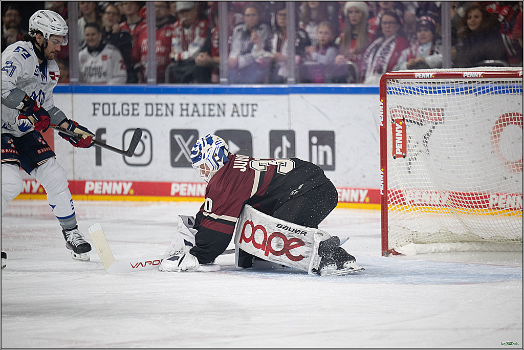 PENNY DEL; Kölner Haie-Adler Mannheim; Köln, 14.12.2025