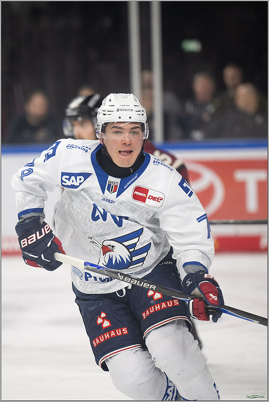 PENNY DEL; Kölner Haie-Adler Mannheim; Köln, 14.12.2025