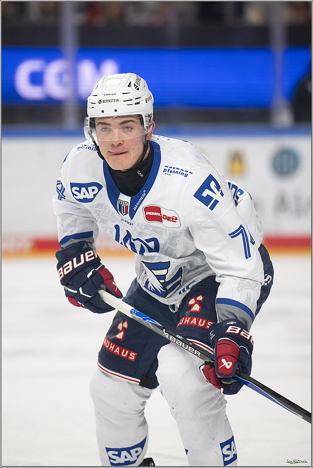 PENNY DEL; Kölner Haie-Adler Mannheim; Köln, 14.12.2025