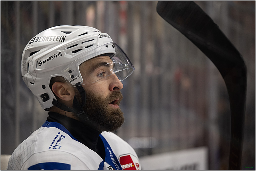 PENNY DEL; Kölner Haie-Adler Mannheim; Köln, 14.12.2025