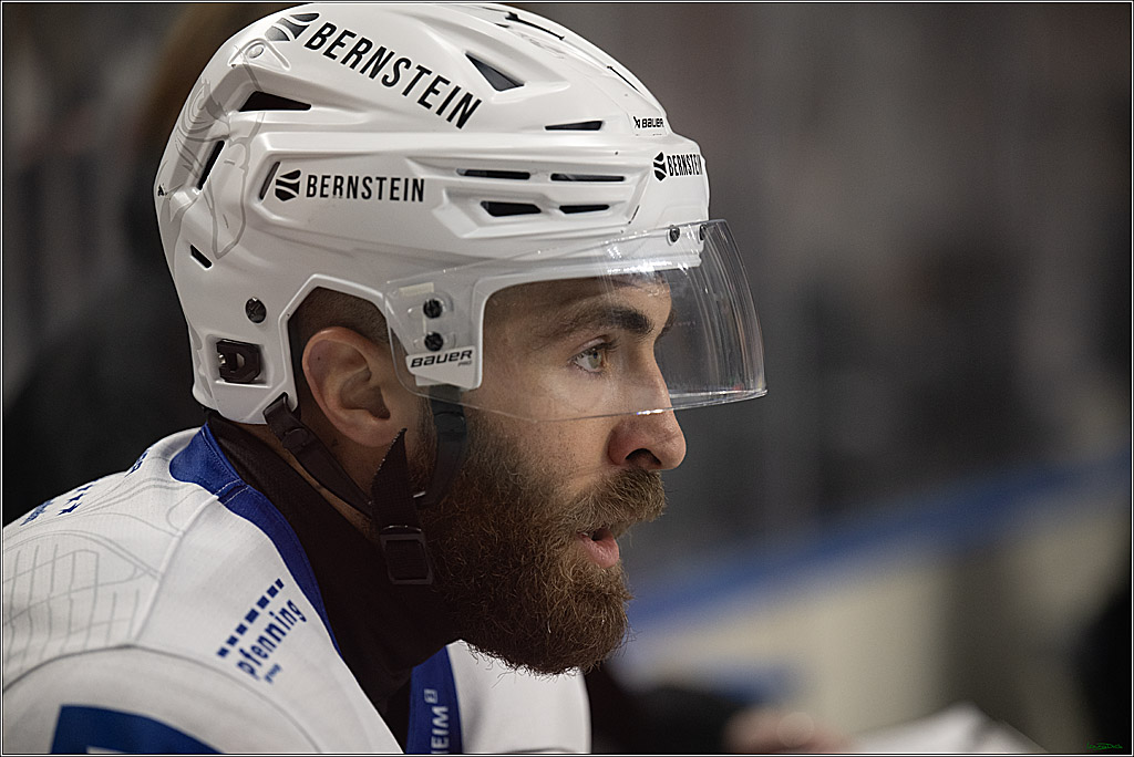 PENNY DEL; Kölner Haie-Adler Mannheim; Köln, 14.12.2025