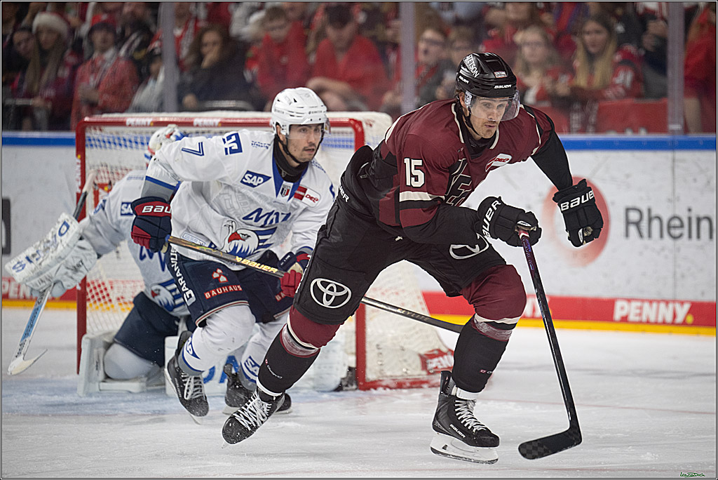 PENNY DEL; Kölner Haie-Adler Mannheim; Köln, 14.12.2025