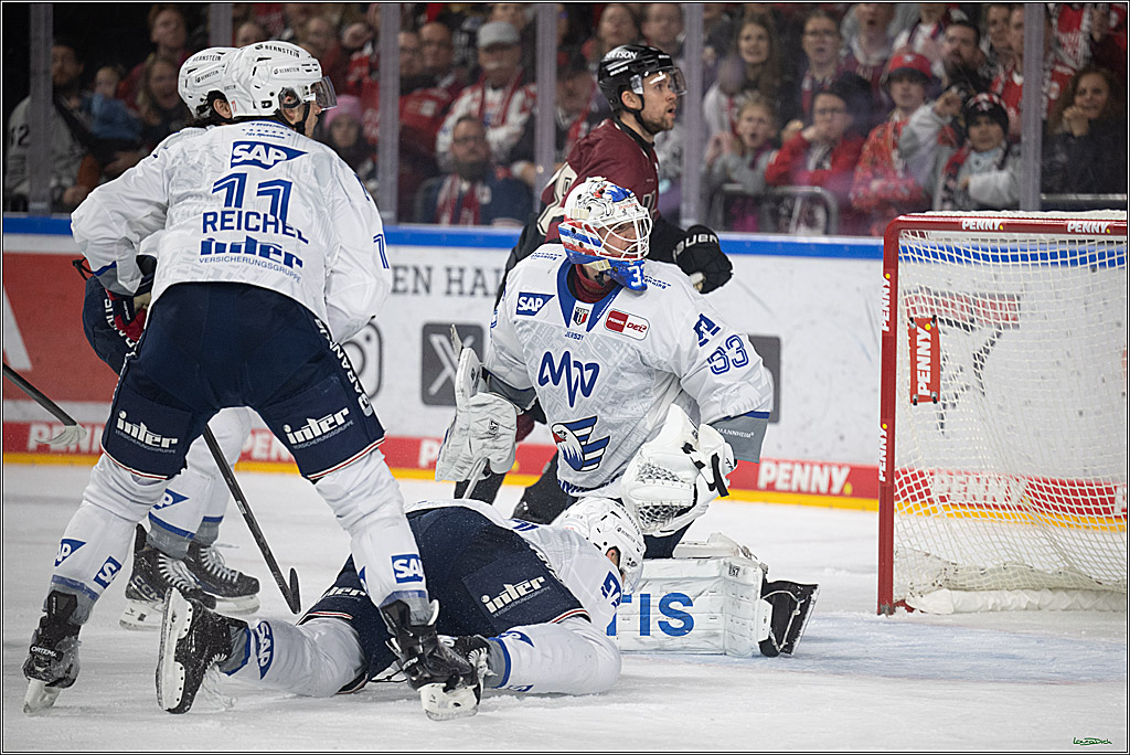PENNY DEL; Kölner Haie-Adler Mannheim; Köln, 14.12.2025