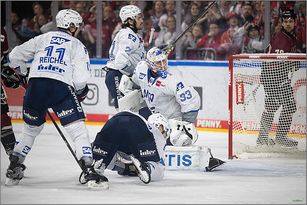 PENNY DEL; Kölner Haie-Adler Mannheim; Köln, 14.12.2025