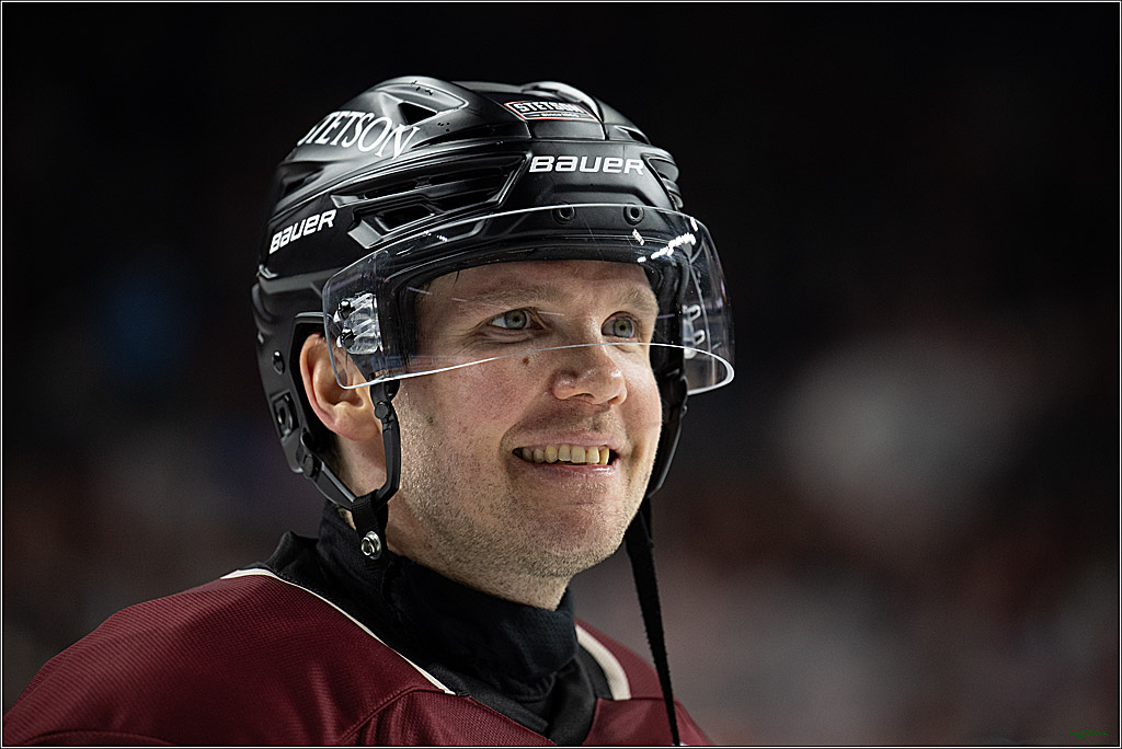 PENNY DEL; Kölner Haie-Adler Mannheim; Köln, 14.12.2025