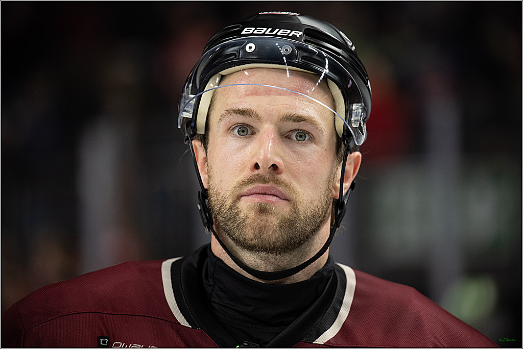 PENNY DEL; Kölner Haie-Adler Mannheim; Köln, 14.12.2025