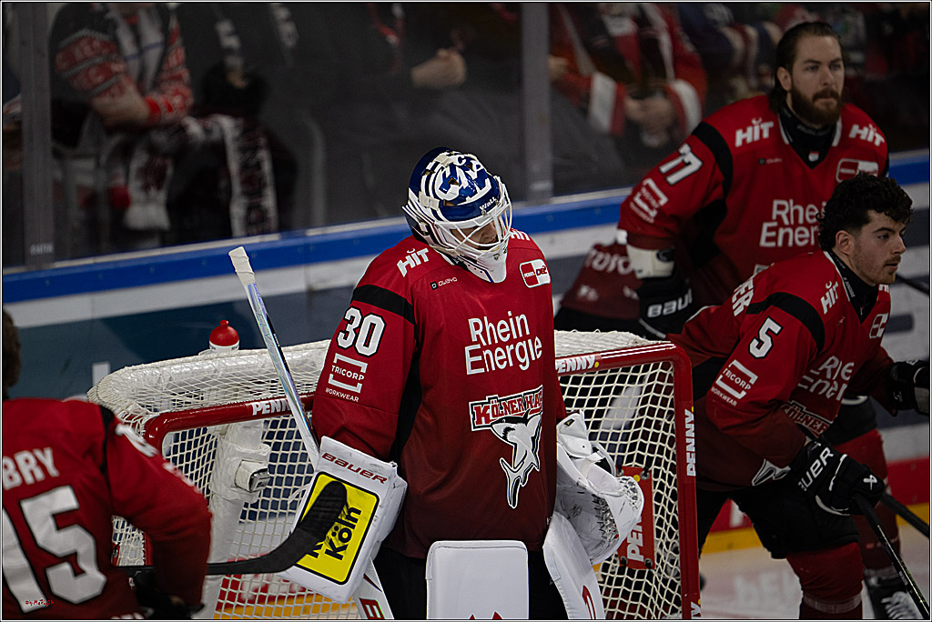 PENNY DEL 1; Kölner Haie - Grizzly Wolfsburg; Köln, 18.12.2025