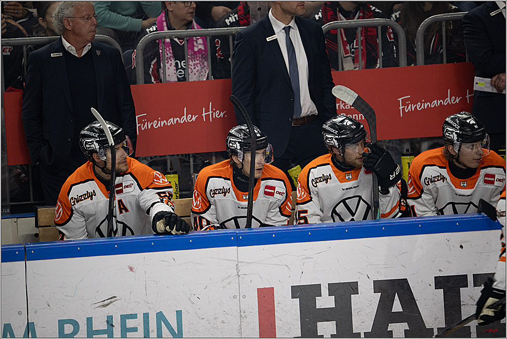 PENNY DEL 1; Kölner Haie - Grizzly Wolfsburg; Köln, 18.12.2025