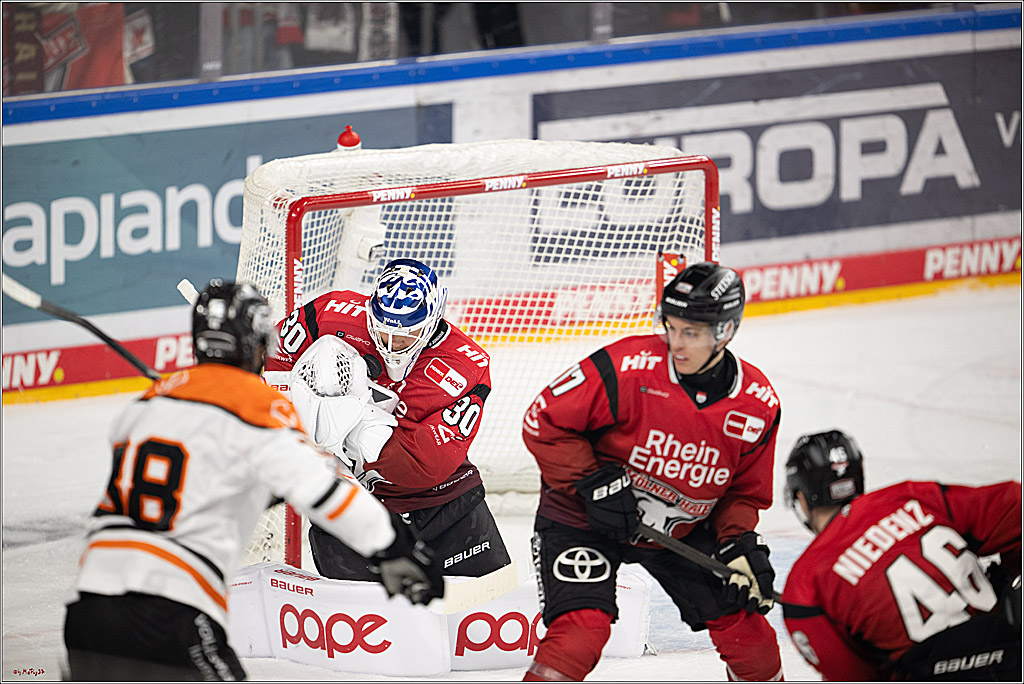 PENNY DEL 1; Kölner Haie - Grizzly Wolfsburg; Köln, 18.12.2025