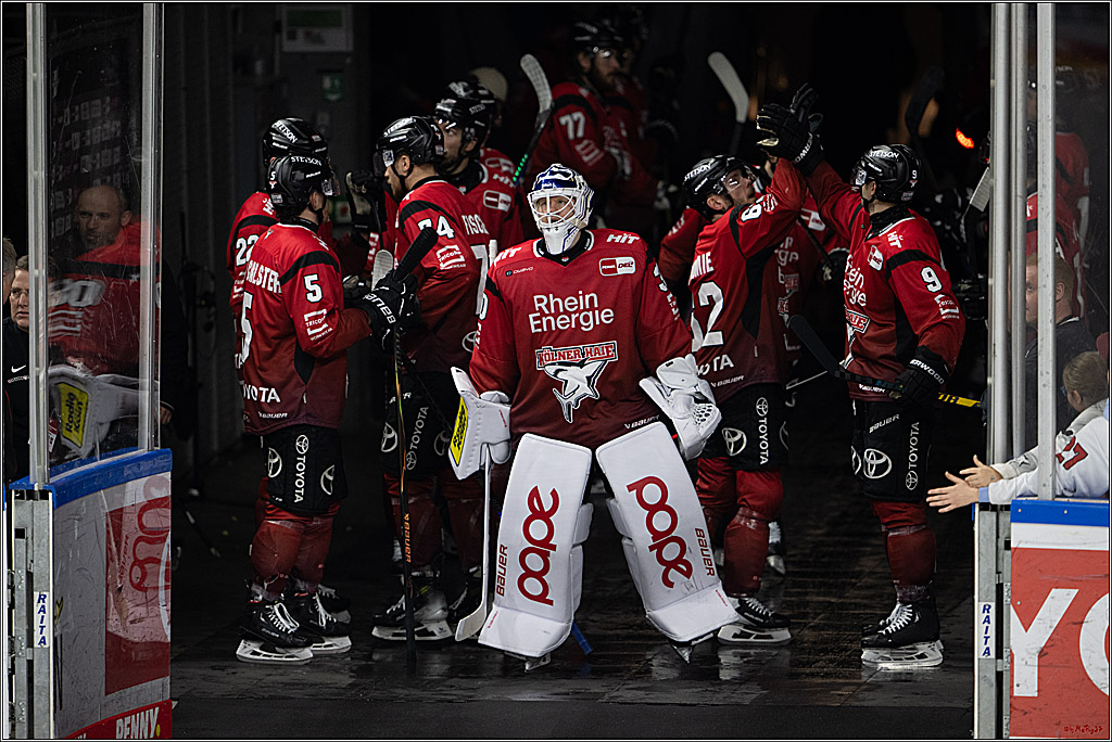 PENNY DEL; Kölner Haie - Grizzly Wolfsburg; Köln, 18.12.2025