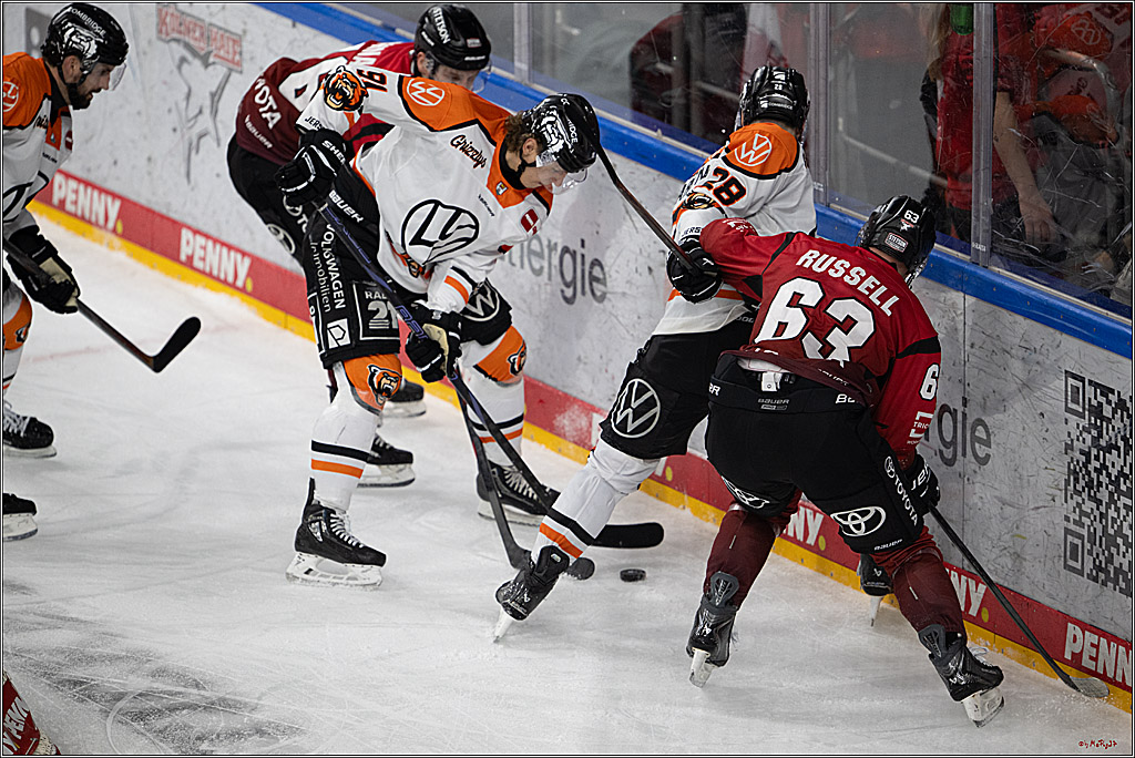 PENNY DEL; Kölner Haie - Grizzly Wolfsburg; Köln, 18.12.2025