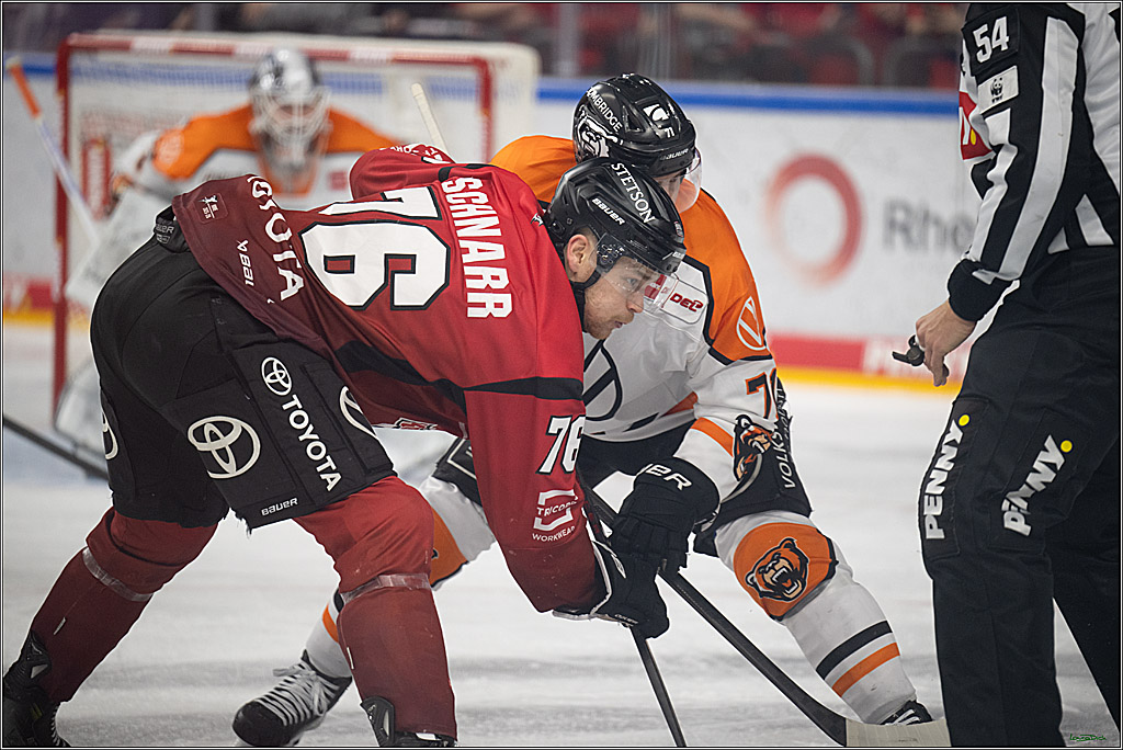 PENNY DEL; Kölner Haie-Grizzlys Wolfsburg; Köln, 18.12.2025