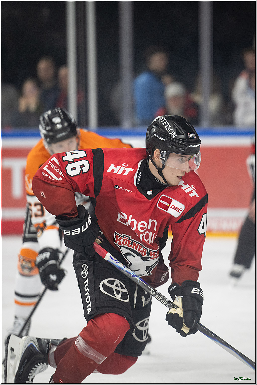 PENNY DEL; Kölner Haie-Grizzlys Wolfsburg; Köln, 18.12.2025