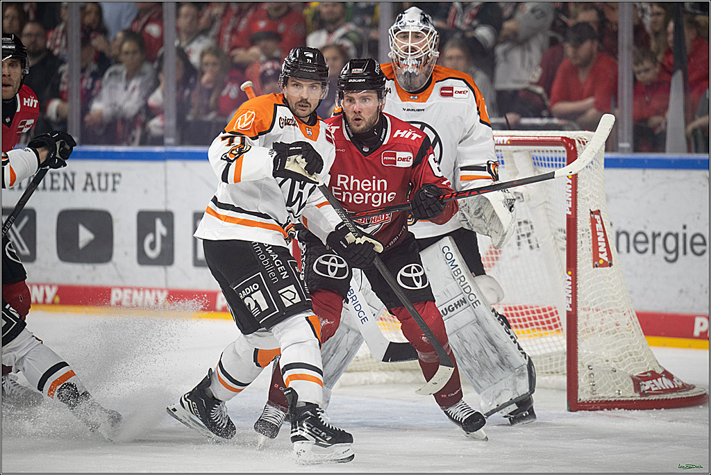 PENNY DEL; Kölner Haie-Grizzlys Wolfsburg; Köln, 18.12.2025