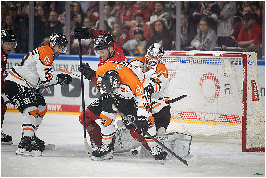 PENNY DEL; Kölner Haie-Grizzlys Wolfsburg; Köln, 18.12.2025